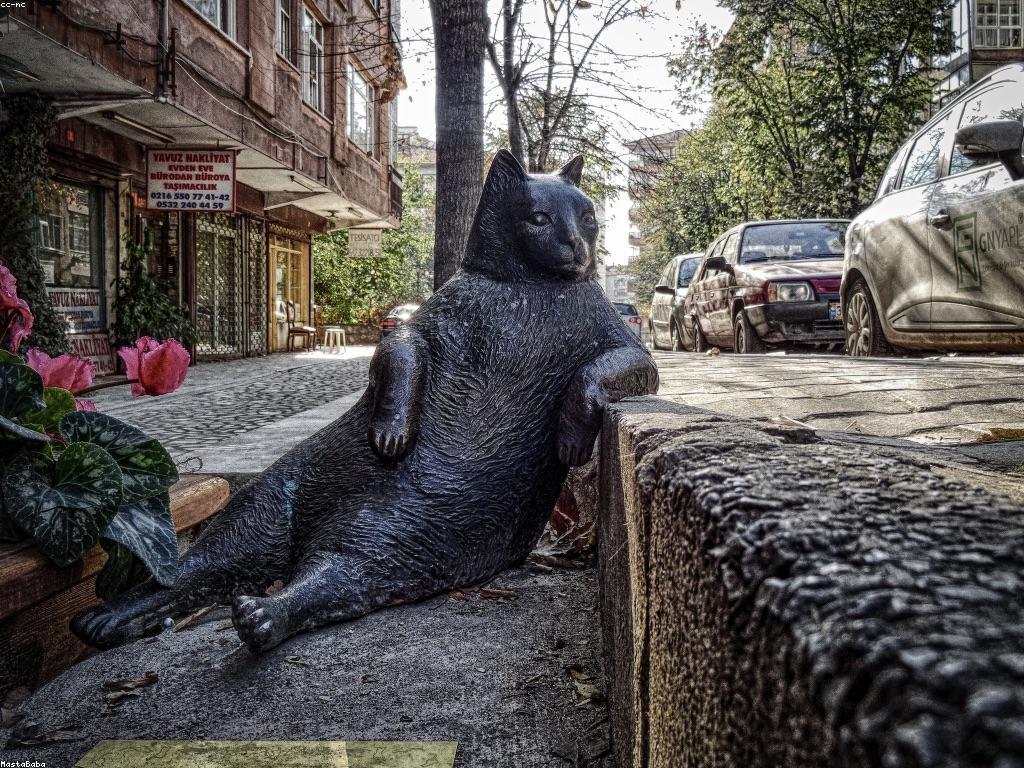 ការពិចារណាអំពីកម្រិតភ្នាល់ និងការប្រើប្រាស់វាប្រកបដោយភាពយន្តរ